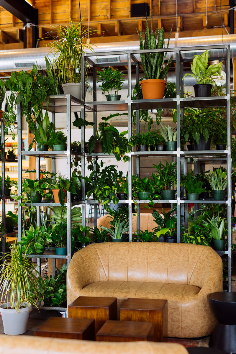 restaurant loungen2