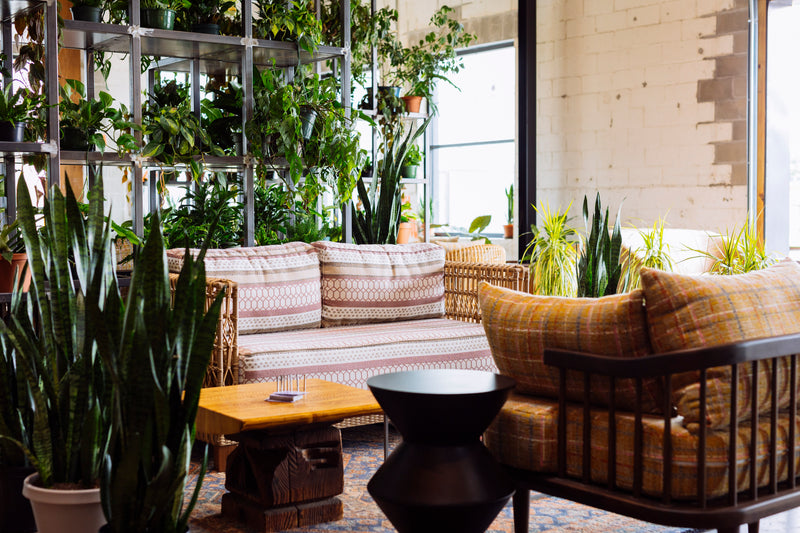 restaurant lounge 1